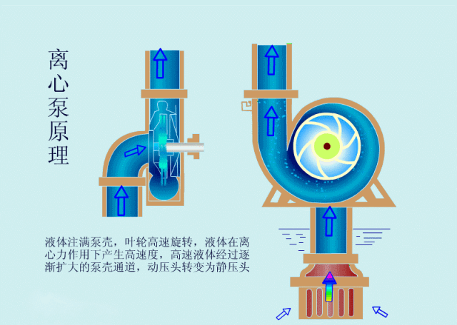 科普之離心泵啟動(dòng)時(shí)，出口閥門必須關(guān)閉嗎？(圖2)